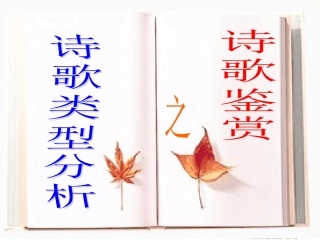 古诗类型分析