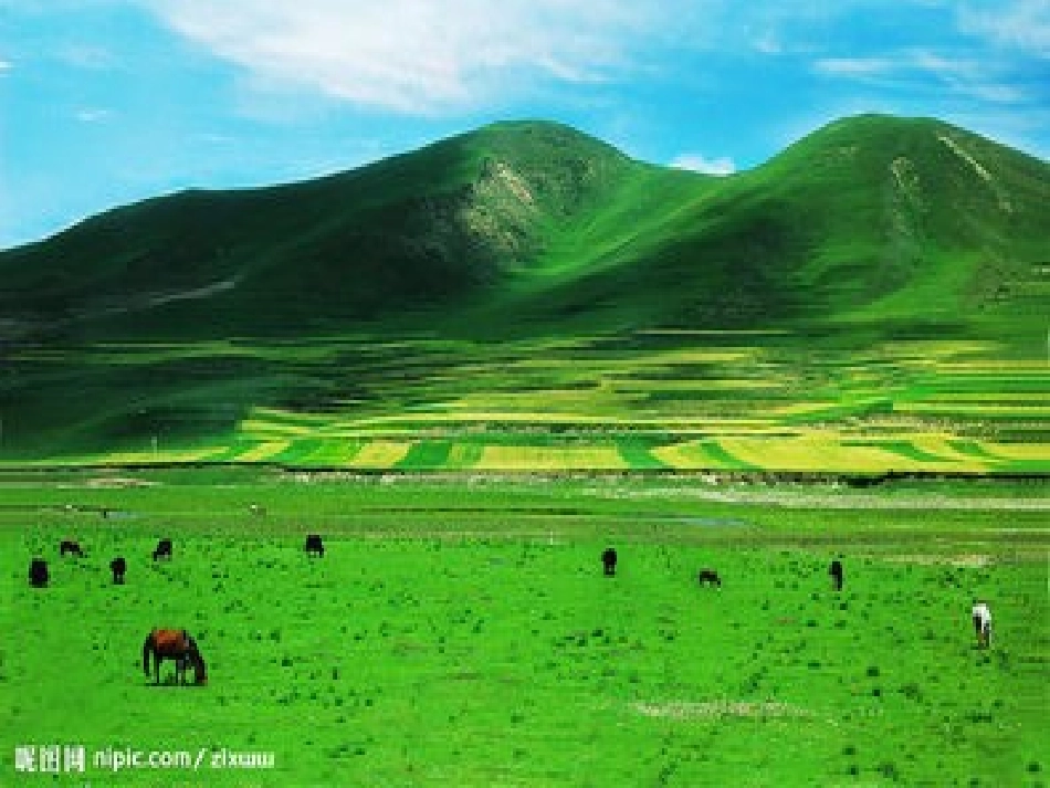 五年级语文草原_第2页