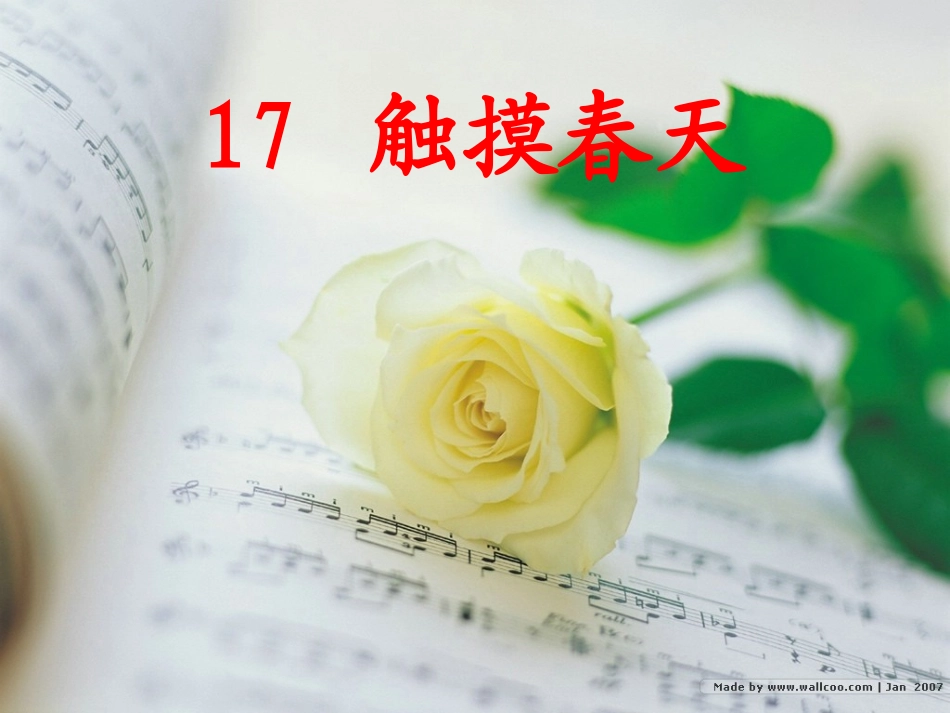 《触摸春天》江_第1页