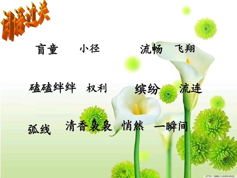 《触摸春天》江_第2页