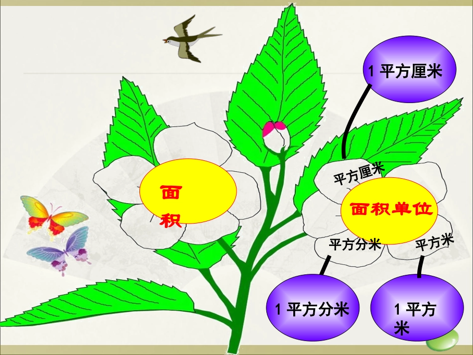 《长方形、正方形面积的计算》课件1_第2页