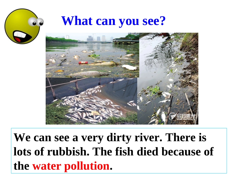 新外延版九年级英语上册module12unit1_第2页