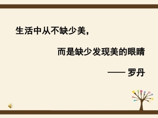 纸板的创想课件