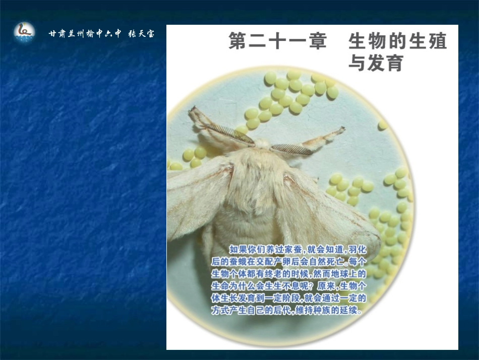 生物的无性生殖（25）_第1页
