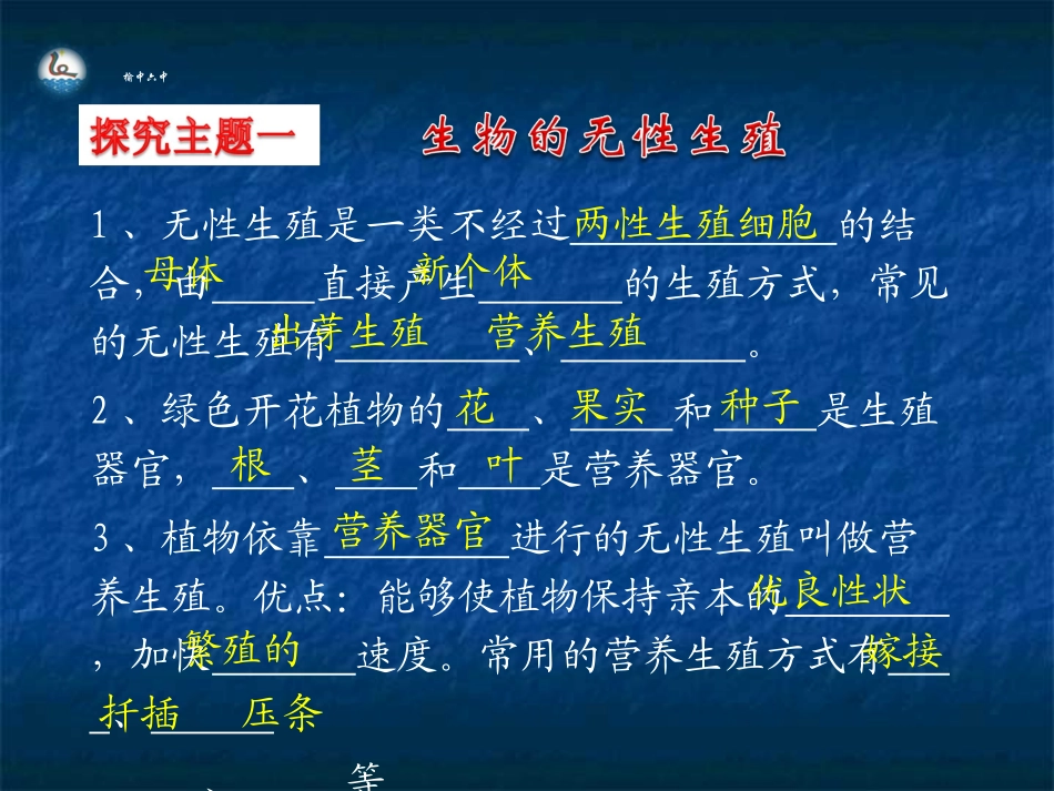 生物的无性生殖（25）_第3页