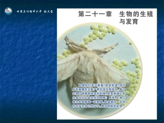生物的无性生殖（25）
