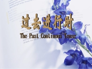 过去进行时课件 (2)