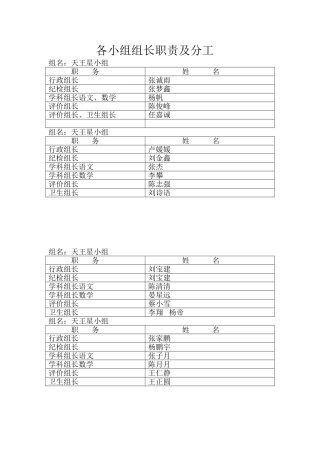 各小组组长职责及分工