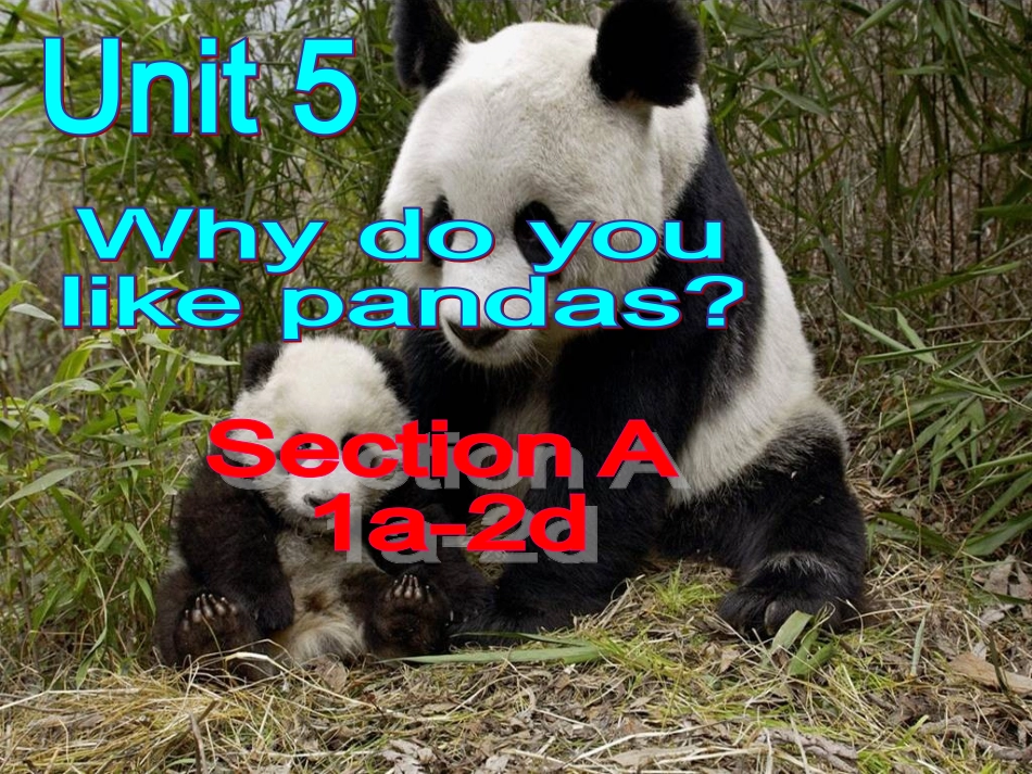 人教新目标七年级英语下册课件：Unit5SectionA1（1a-2e）_第1页