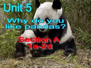 人教新目标七年级英语下册课件：Unit5SectionA1（1a-2e）