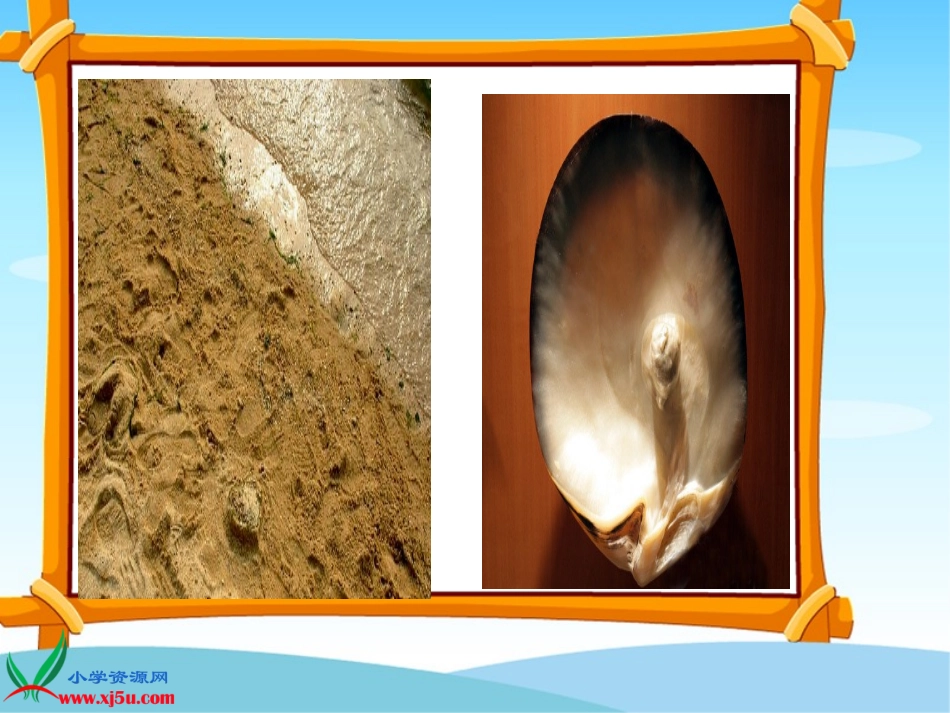 北师大版三年级语文上册《圆圆的沙粒》课件 (2)_第2页