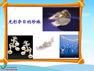 北师大版三年级语文上册《圆圆的沙粒》课件 (2)