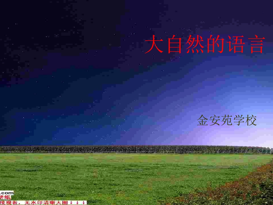 《大自然的语言》课件_第1页