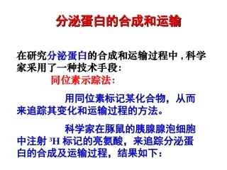 必修一分泌蛋白的形成