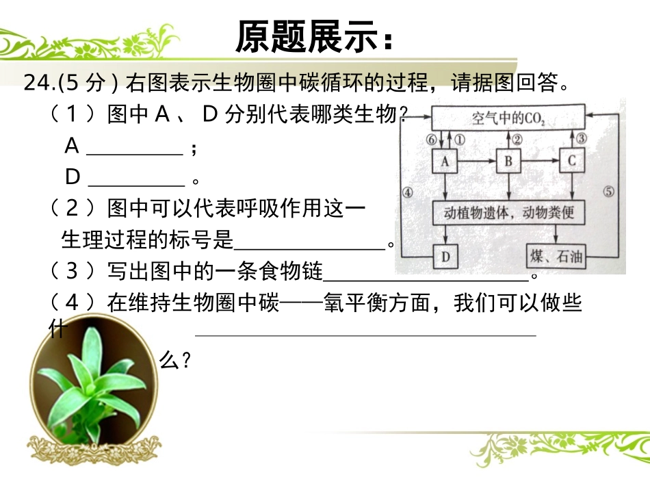 说题-遗传图解_第3页