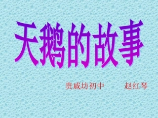 北师大版《天鹅的故事》