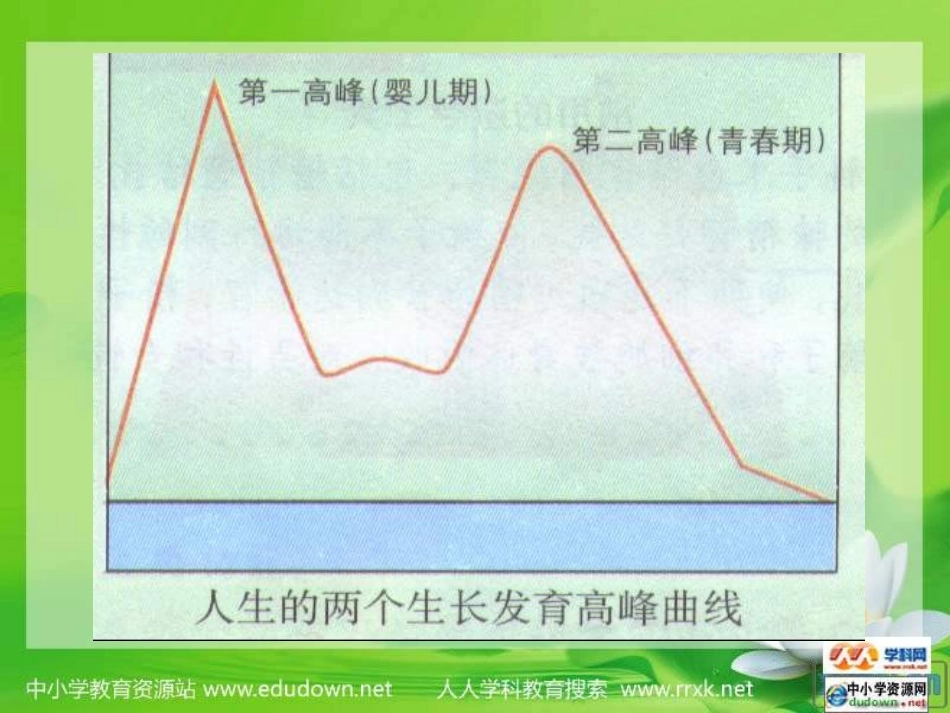 人教版生物七下13《青春期》课件_第2页