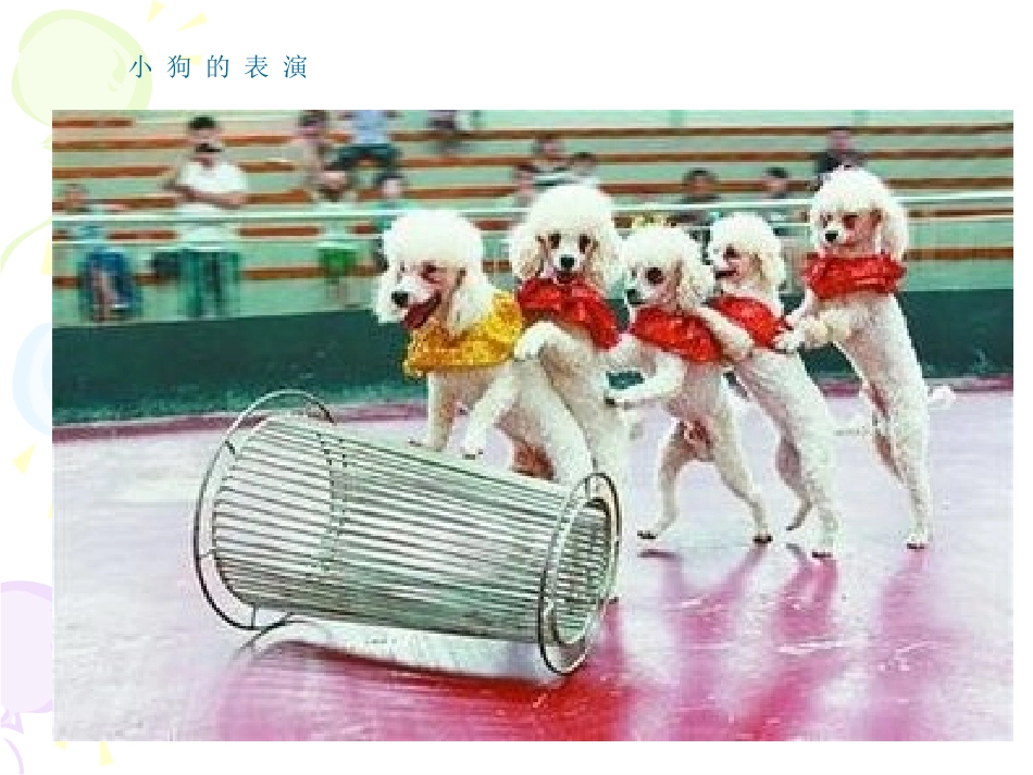 先天行为和学习行为_第3页