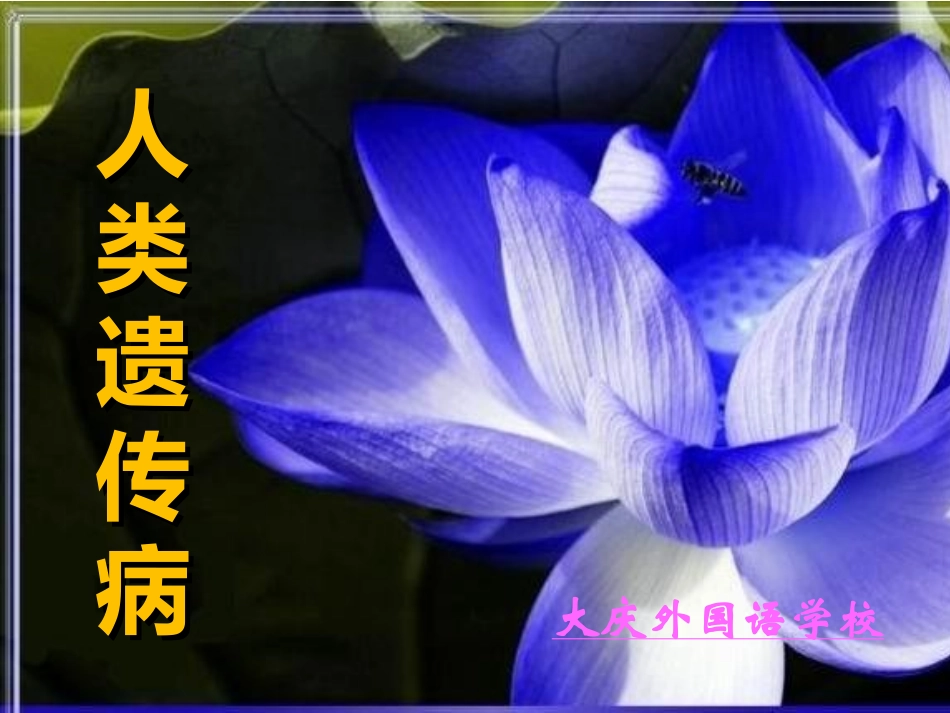 人类遗传病公开课课件_第1页