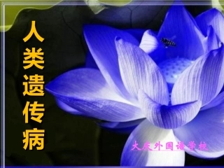 人类遗传病公开课课件