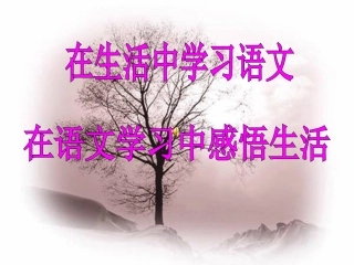 综合性学习2漫游语文世界