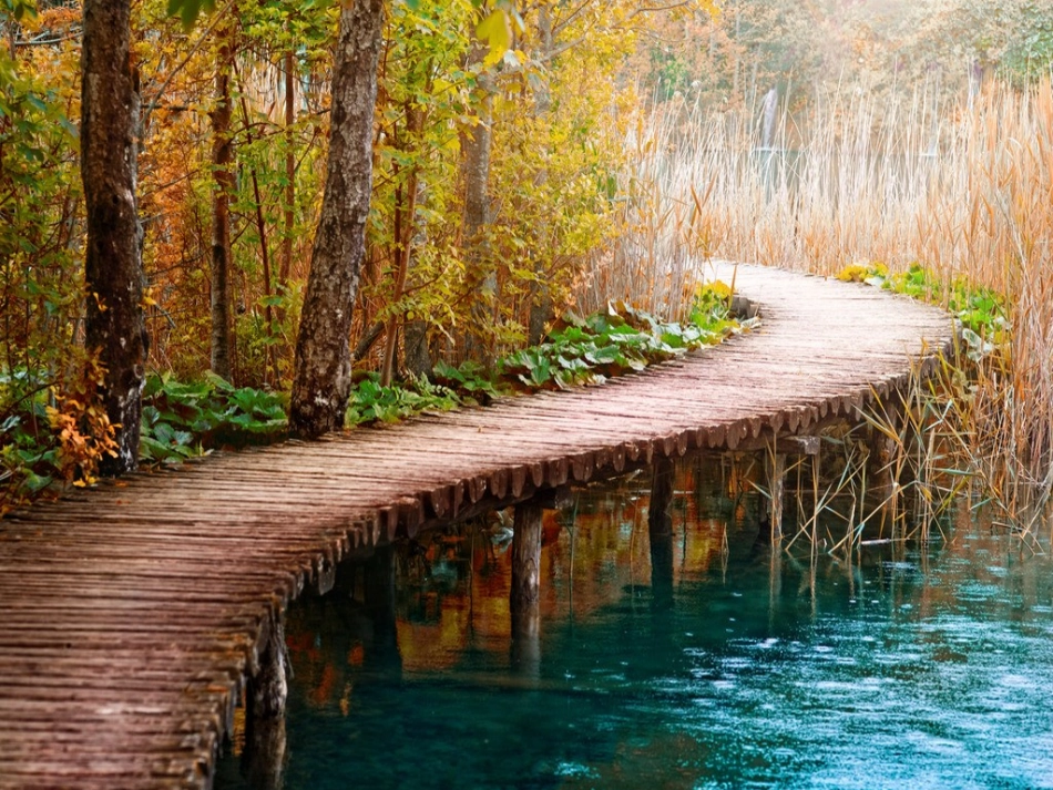 《立志造桥》参考课件_第3页