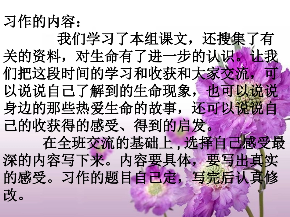 四年级下册第五单元作文《珍爱生命》_第1页