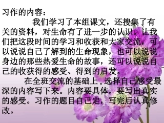 四年级下册第五单元作文《珍爱生命》
