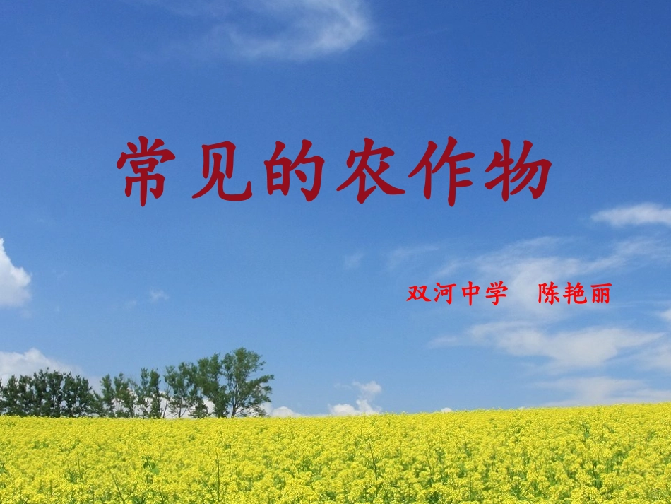 常见的农作物_第2页