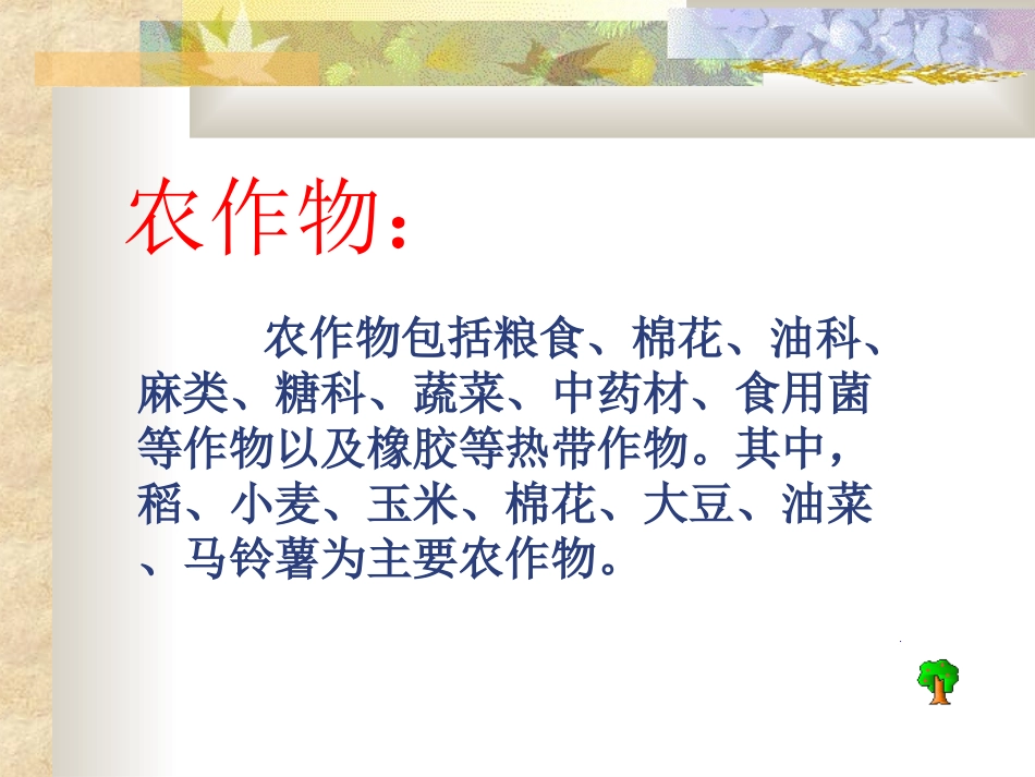 常见的农作物_第3页