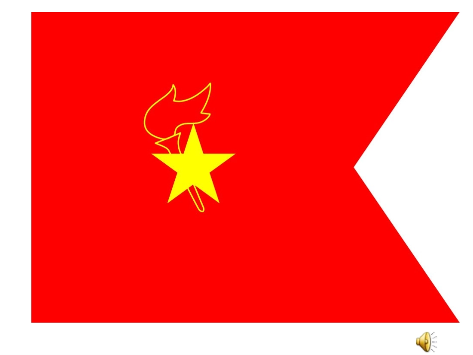 刘小红中队课_第2页