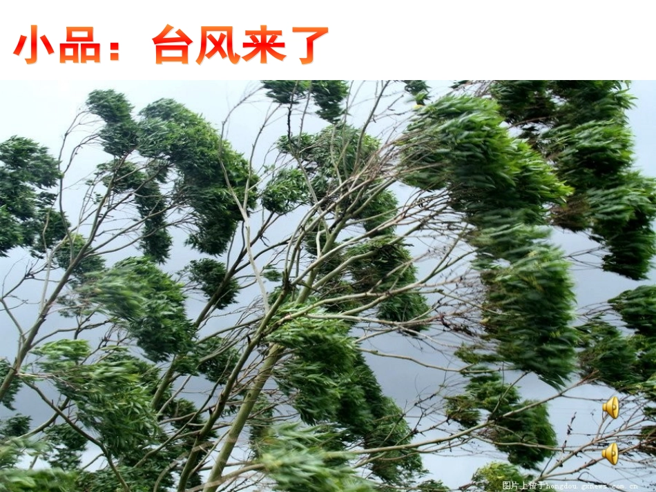 刘小红中队课_第3页