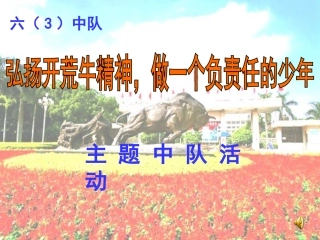 刘小红中队课