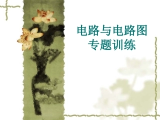 电路与电路图专题训练
