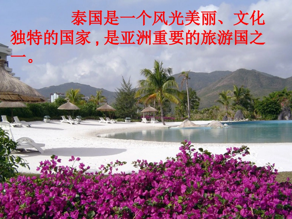 _《与象共舞》__第2页