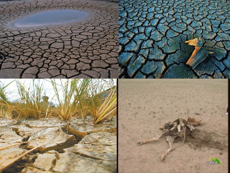 课七颗钻石课件_第2页