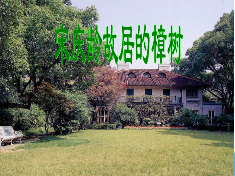 宋庆龄故居的樟树课件_第1页