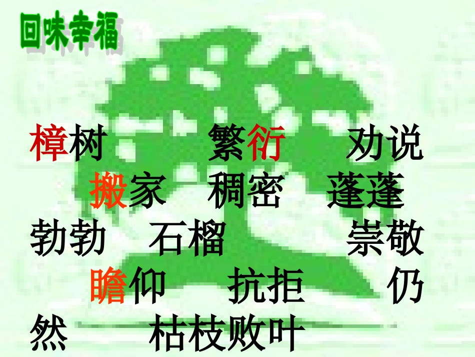 宋庆龄故居的樟树课件_第3页