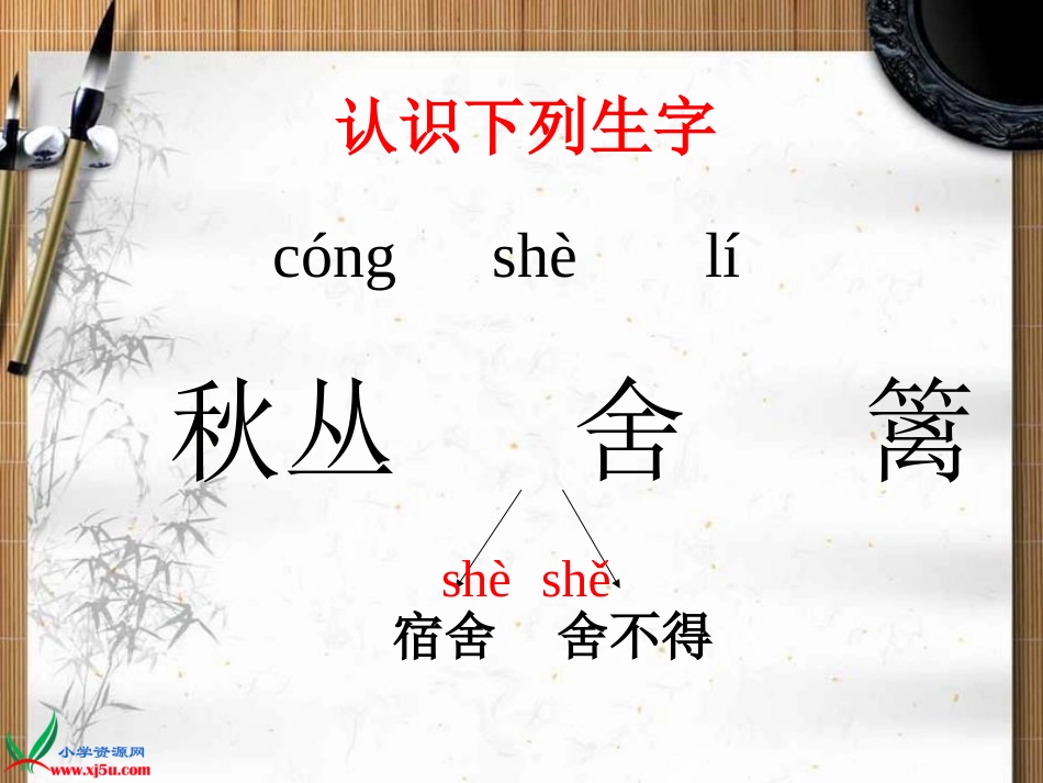 (教科版)四年级语文上册课件_古诗四首_菊花_第3页