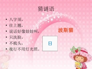 找不到快乐的波斯猫课件[1]