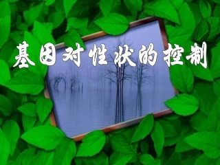 基因对性状的控制