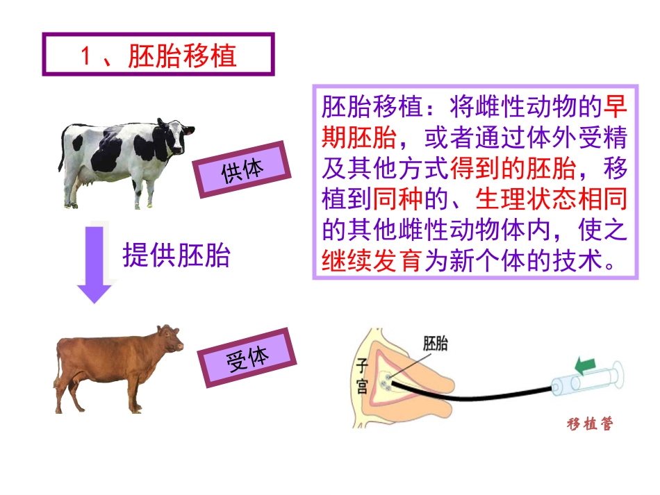 胚胎工程的应用及前景_第2页