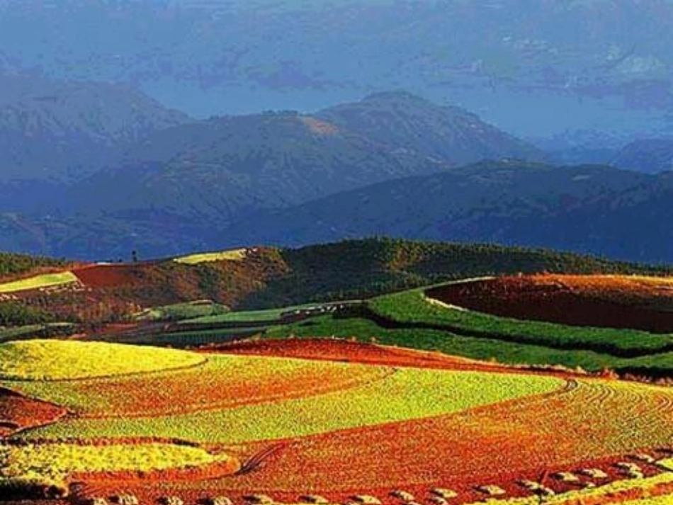 云南的歌会3_第2页