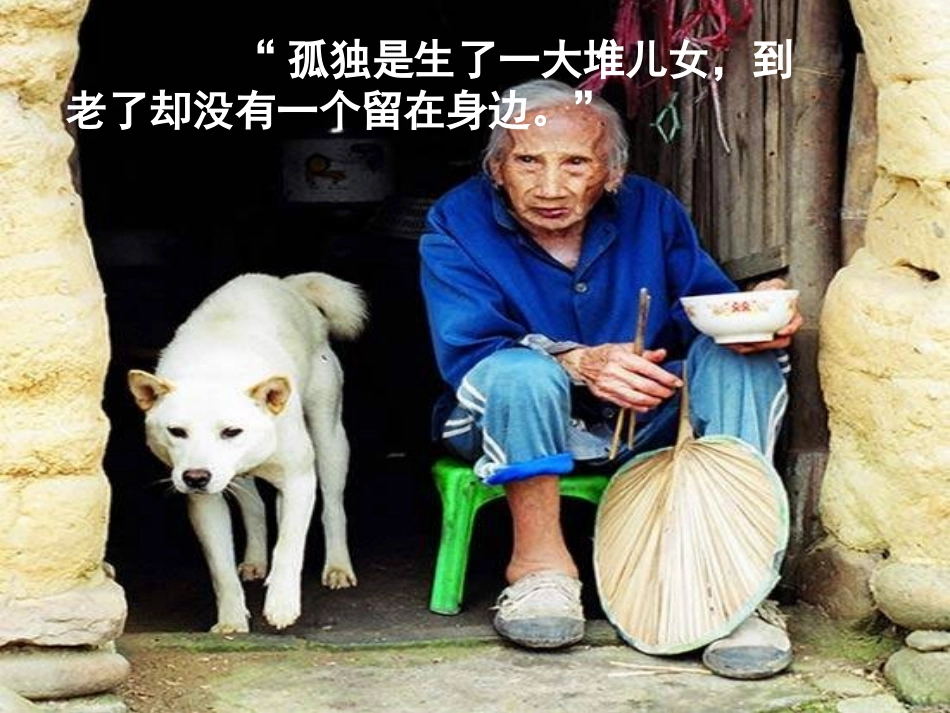 孤独之旅课件_第2页