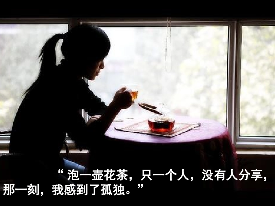 孤独之旅课件_第3页