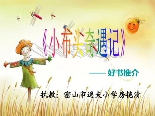 小布头奇遇记1