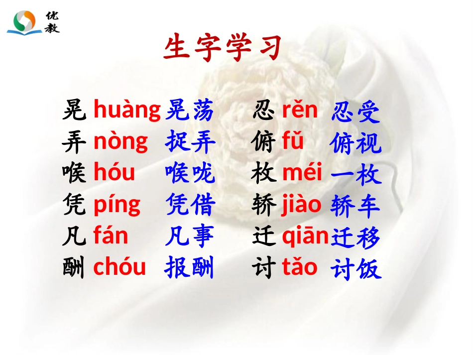 《女主人与乞丐》教学课件_第2页