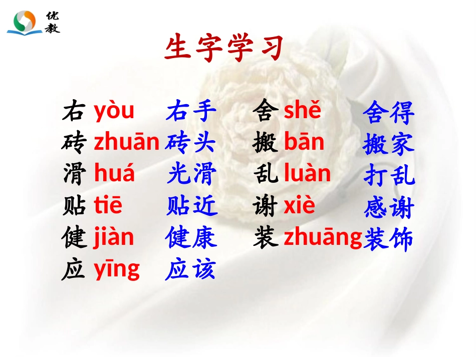 《女主人与乞丐》教学课件_第3页