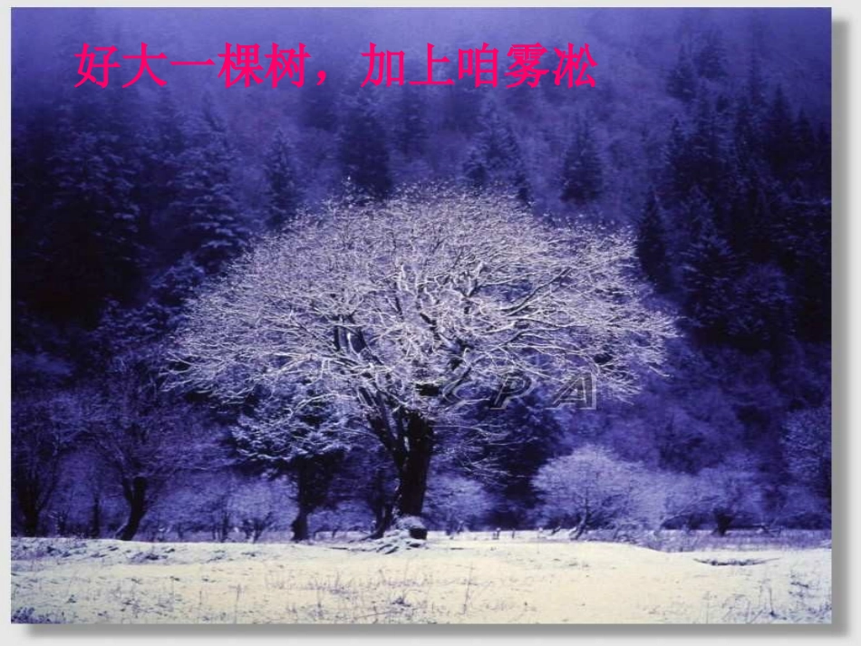 东北地区自制1_第3页