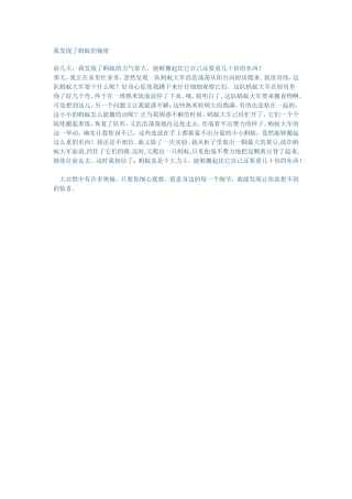 我发现了蚂蚁的秘密